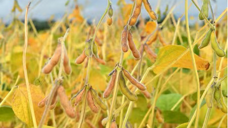 兴华配资 全国首例上市公司董监高违反公开承诺案赔偿款已全额支付