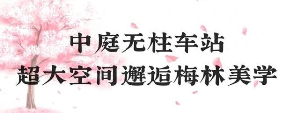 51策略 首次曝光！成都13号线一期幸福梅林站惊艳亮相→