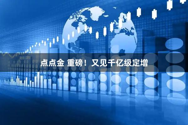 点点金 重磅！又见千亿级定增