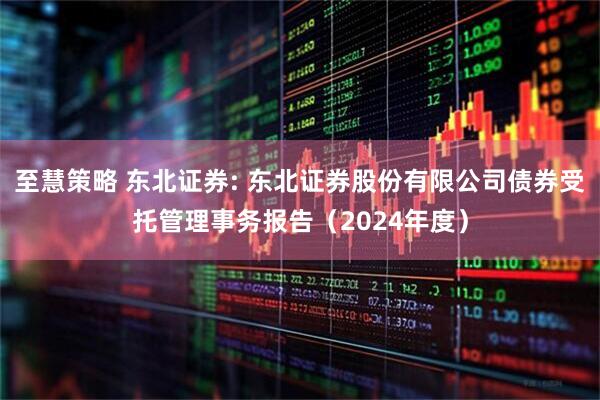 至慧策略 东北证券: 东北证券股份有限公司债券受托管理事务报告（2024年度）