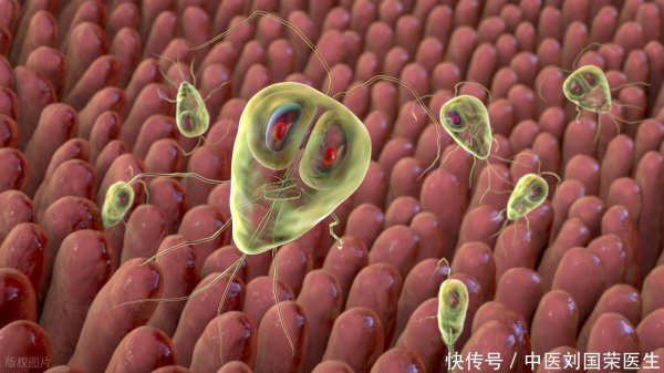 点金网 提醒：4种蔬果是寄生虫的“重灾区”，肉眼看不到，有人却当成宝