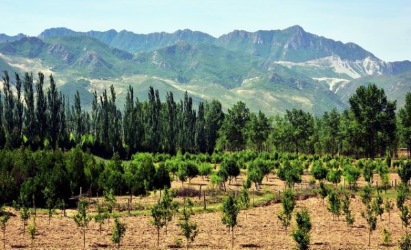 华霖资本 最高法发布指导性案例，明确生态环境案裁判、审查、程序规则
