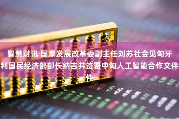 智慧财讯 国家发展改革委副主任刘苏社会见匈牙利国民经济部部长纳吉并签署中匈人工智能合作文件