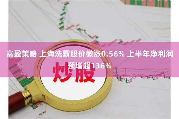 富盈策略 上海洗霸股价微涨0.56% 上半年净利润预增超136%