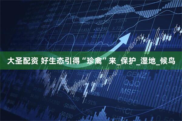 大圣配资 好生态引得“珍禽”来_保护_湿地_候鸟