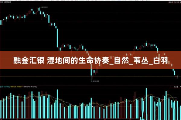 融金汇银 湿地间的生命协奏_自然_苇丛_白羽