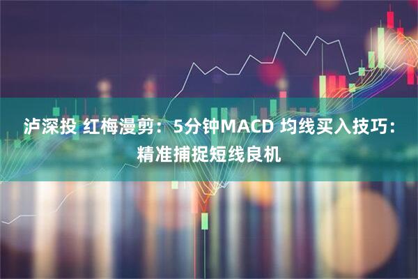泸深投 红梅漫剪：5分钟MACD 均线买入技巧：精准捕捉短线良机